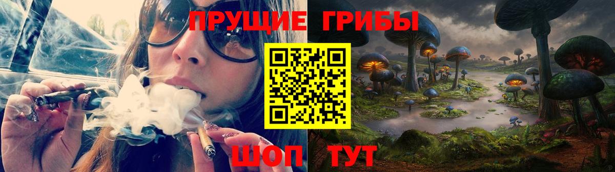 Галлюциногенные грибы Psilocybe Славянск-на-Кубани